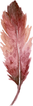 Watercolor FEather Shape.