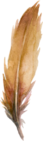 Watercolor FEather Shape.